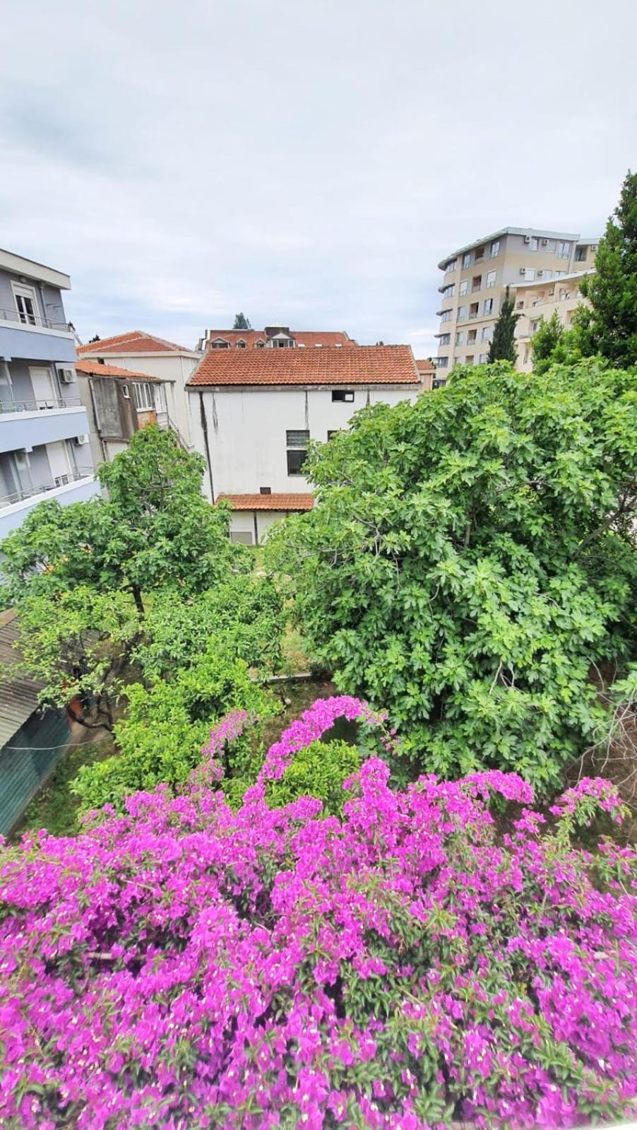 Vojinovic Apartments Budva Quarto foto